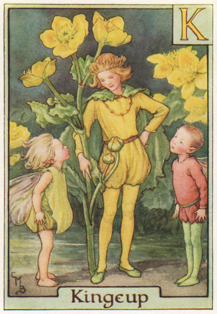 K = Kingcup Fairy by Cicely Mary Barker. Alphabet Flower Fairies c1934 print